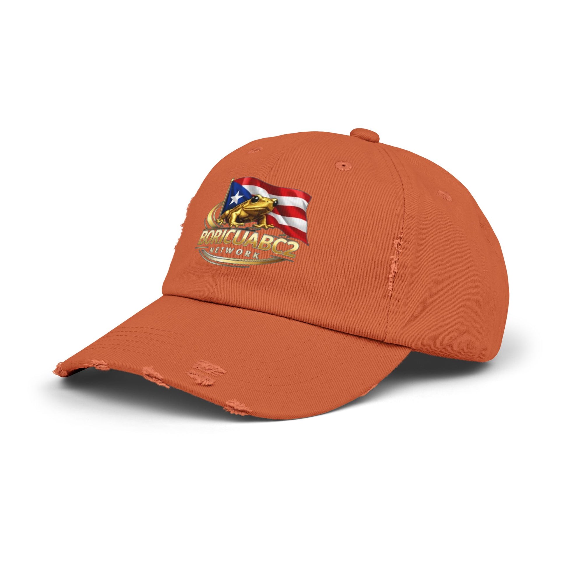 Unisex Distressed Cap 11
