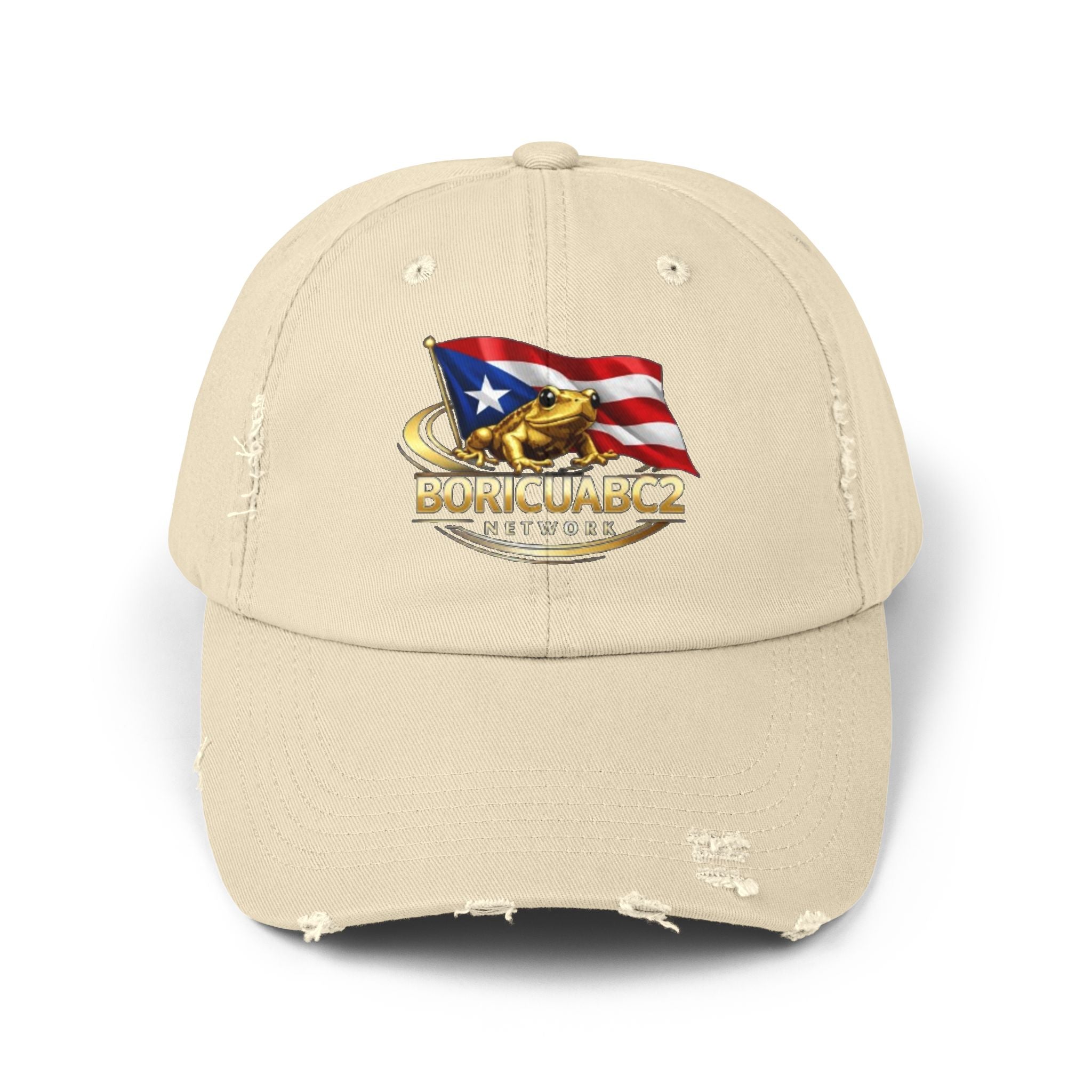 Unisex Distressed Cap 11