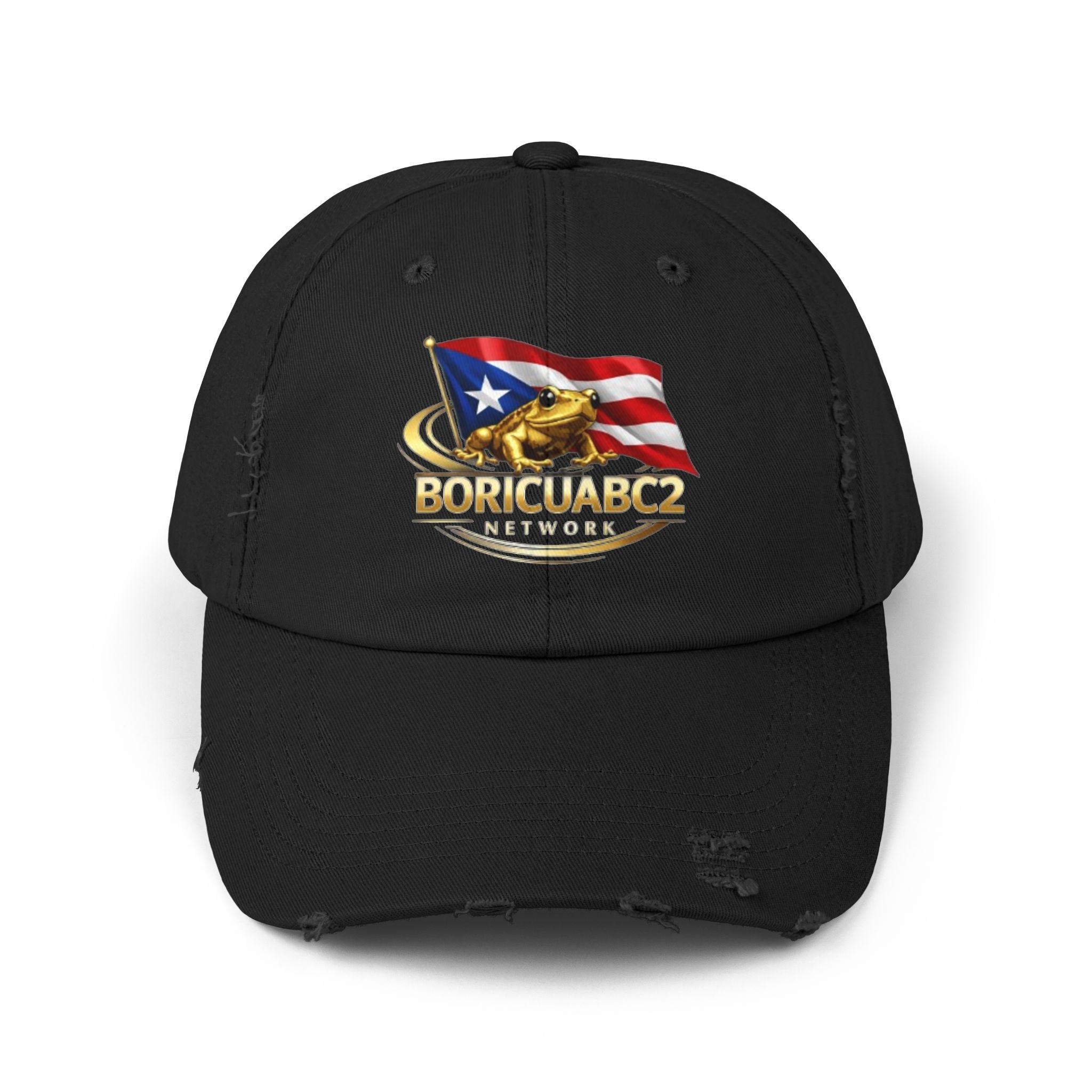 Unisex Distressed Cap 11