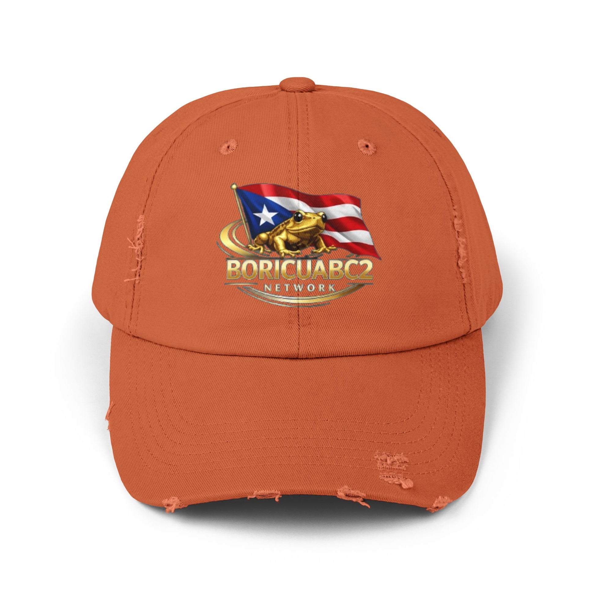 Unisex Distressed Cap 11
